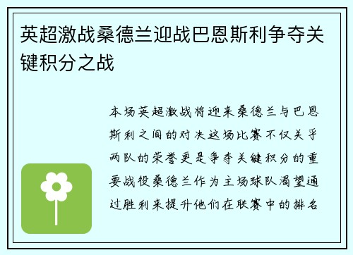 英超激战桑德兰迎战巴恩斯利争夺关键积分之战
