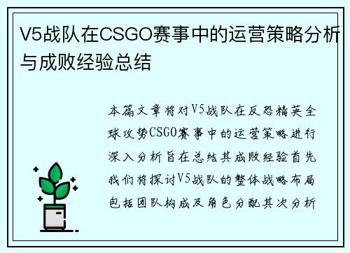 V5战队在CSGO赛事中的运营策略分析与成败经验总结