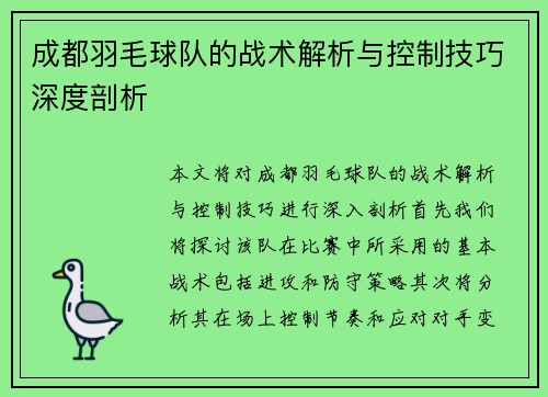 成都羽毛球队的战术解析与控制技巧深度剖析