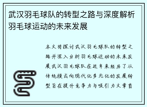 武汉羽毛球队的转型之路与深度解析羽毛球运动的未来发展