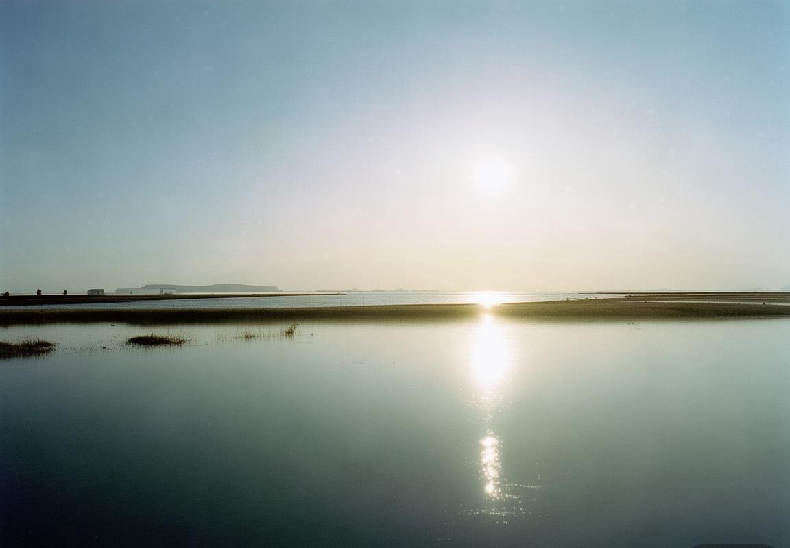 阿莫林变阵四后卫战术失效，曼联攻防脱节暴露战术调整困局